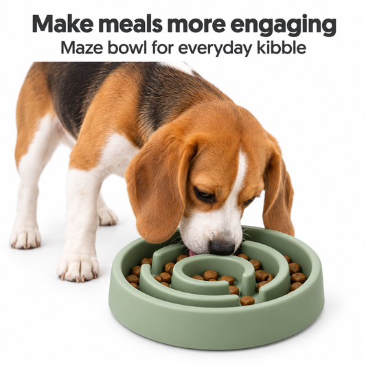 SlowFeast Maze Bowl — Make meals more engaging. Maze bowl for everyday kibble