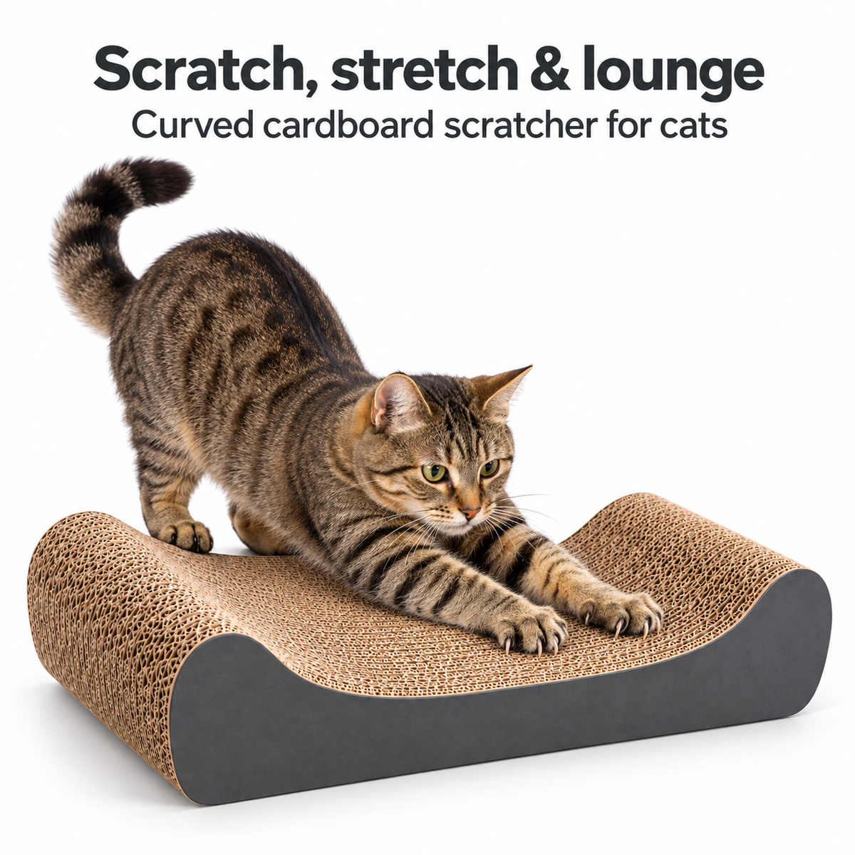 ScratchHaven Lounge Board — Scratch, stretch & lounge. Curved cardboard scratcher for cats